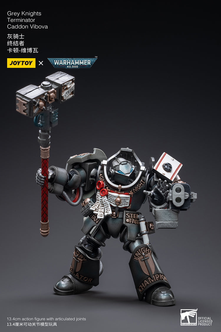 Grey Knights Terminator Caddon Vibova