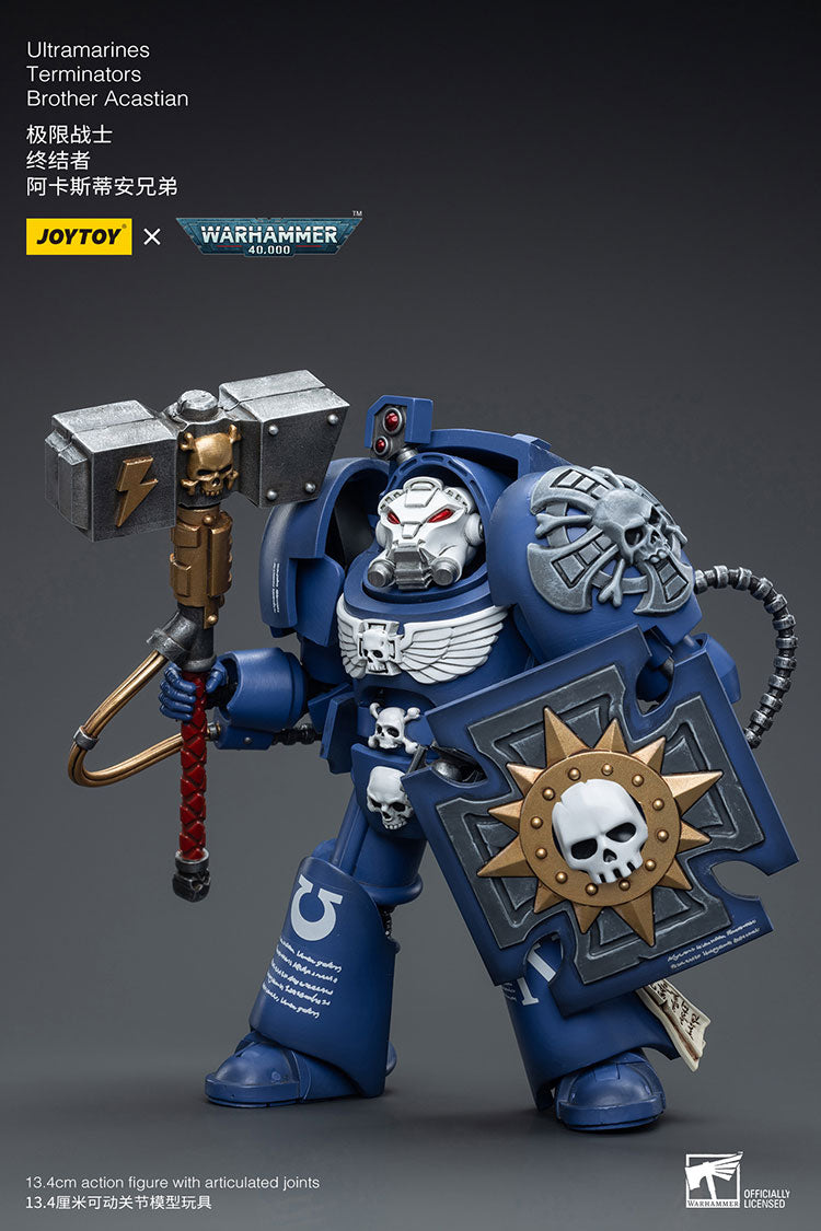 Ultramarines Terminators Brother Acastian