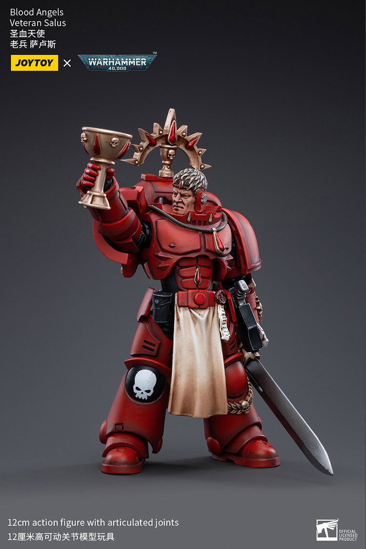 Blood Angels Veteran Salus