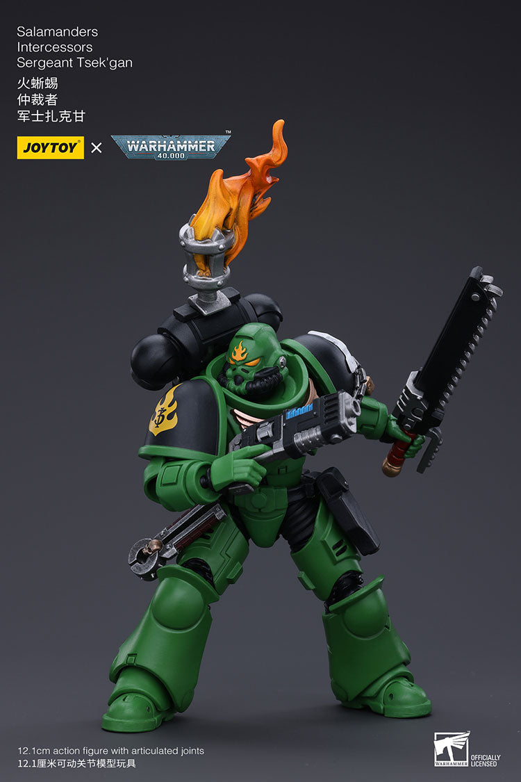 Salamanders Intercessors Sergeant Tsek'gan