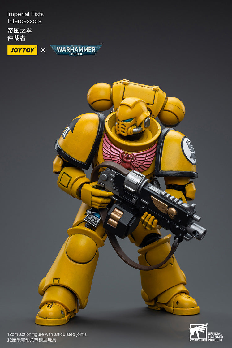 Imperial Fists Intercessors