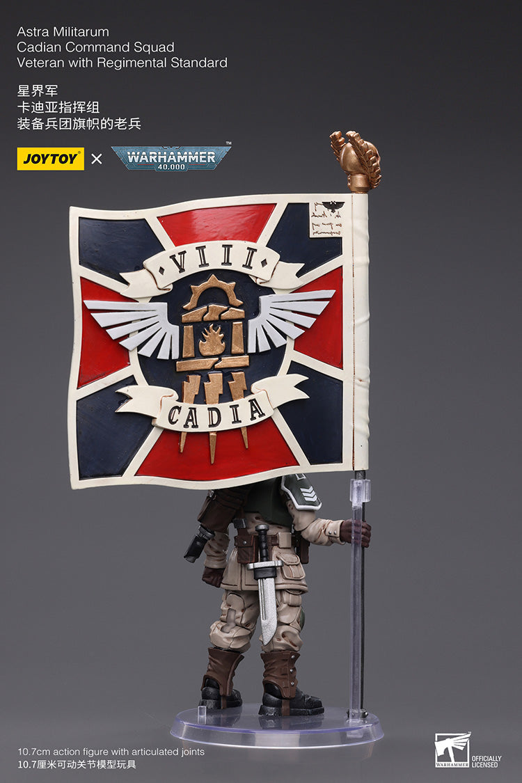 Astra Militarum Cadian Command Squad Veteran with Regimental Standard