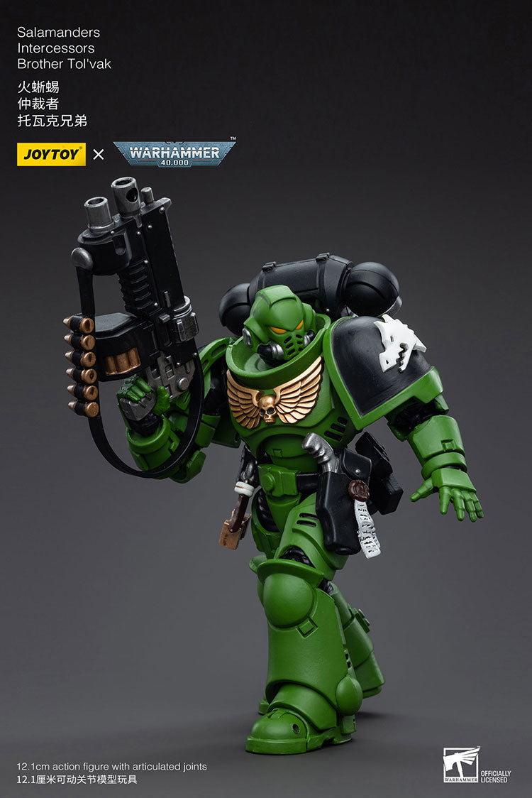 Salamanders Intercessors Brother Tol'vak