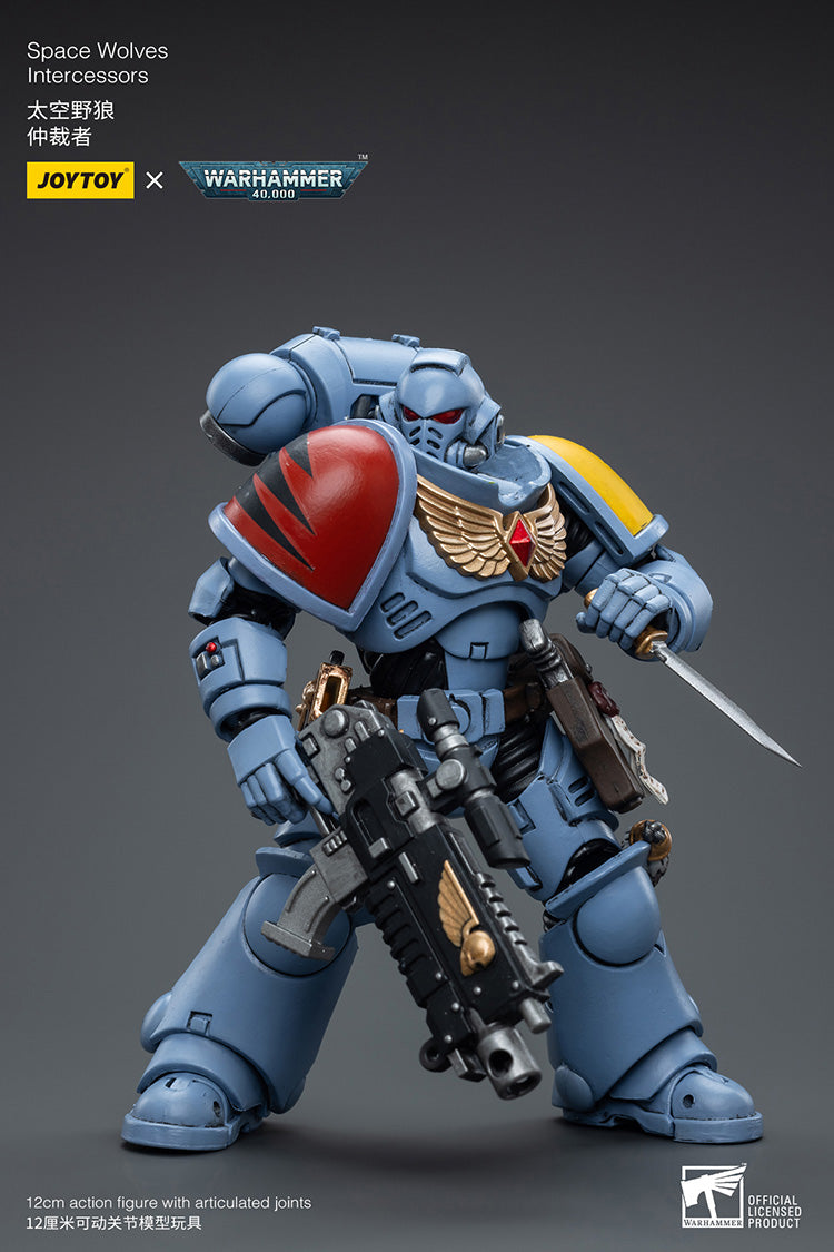 Space Wolves Intercessors
