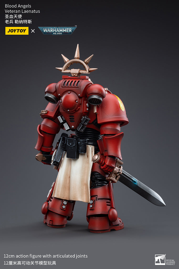 Blood Angels Veteran