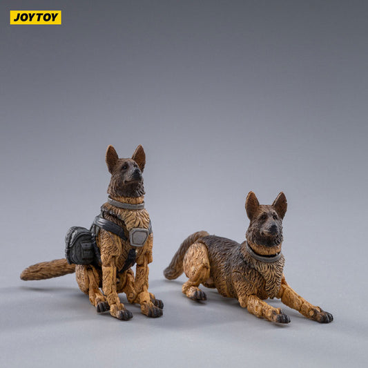 Military Dog