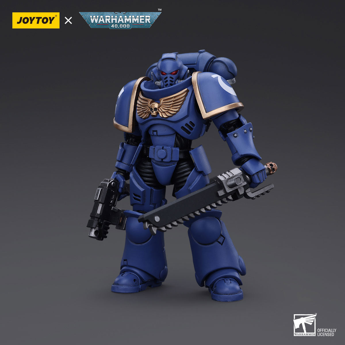 Ultramarines Outriders Brother Catonus