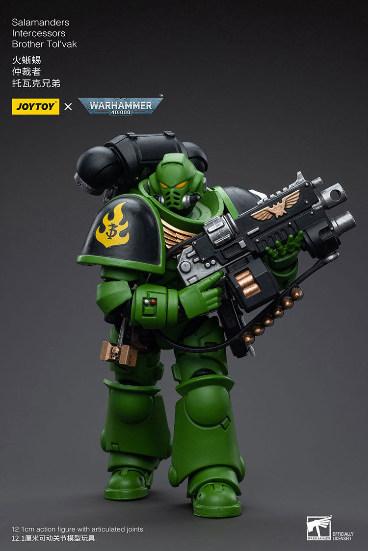 Salamanders Intercessors Brother Tol'vak