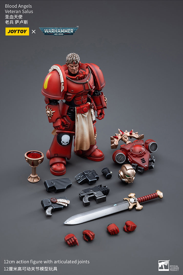 Blood Angels Veteran
