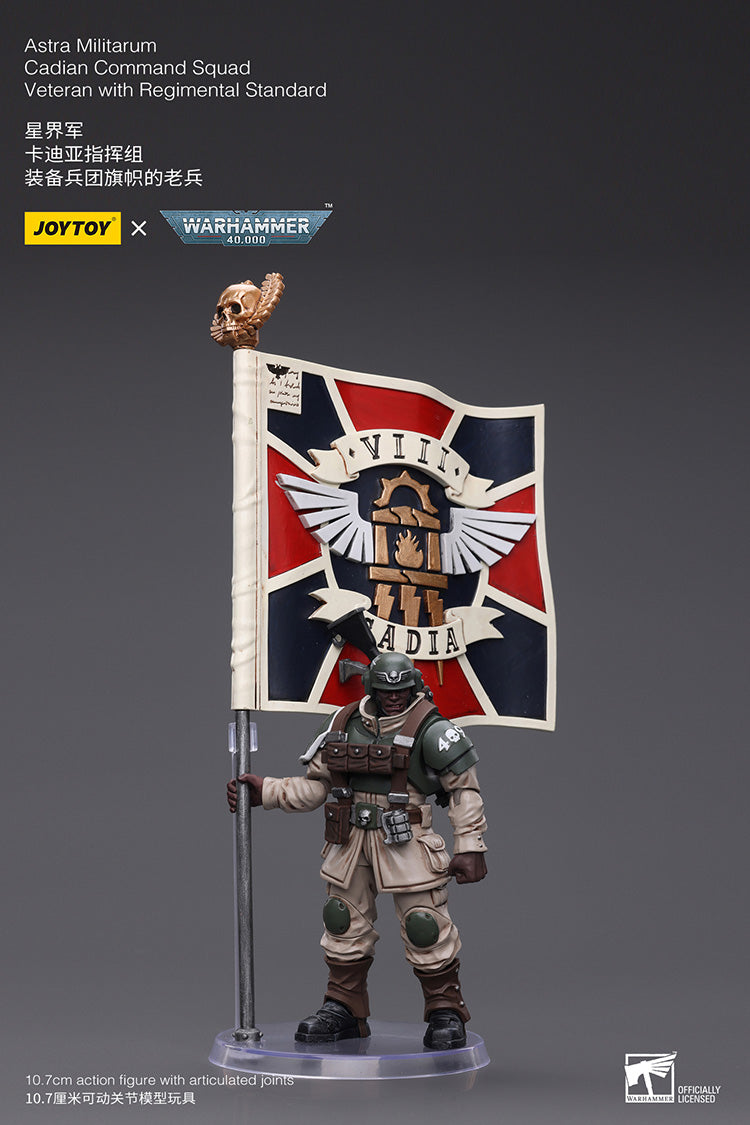 Astra Militarum Cadian Command Squad Veteran with Regimental Standard