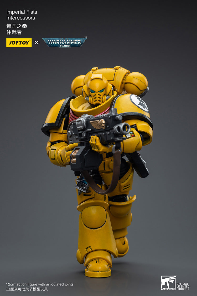 Imperial Fists Intercessors