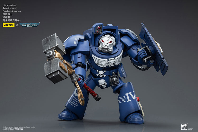 Ultramarines Terminators Brother Acastian