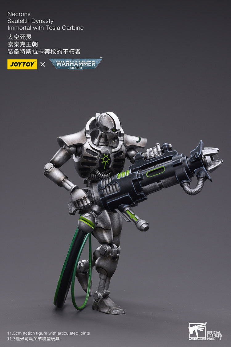 Necrons Sautekh Dynasty Immortal with Tesla Carbin