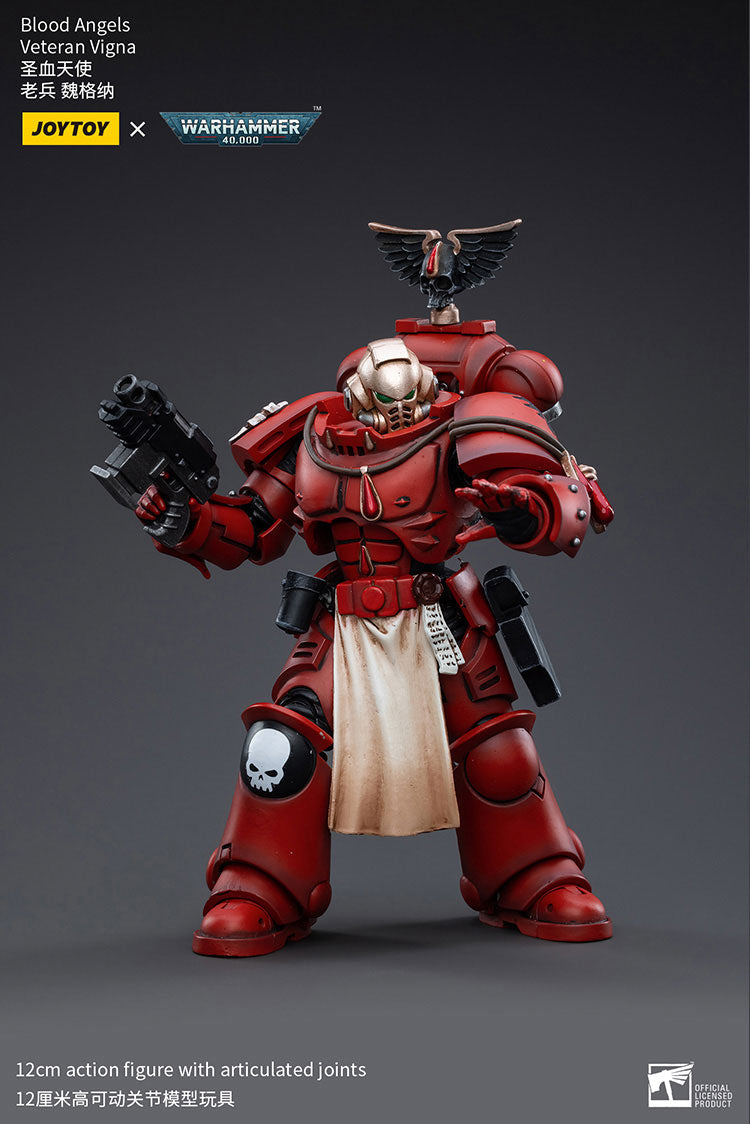 Blood Angels Veteran Vigna