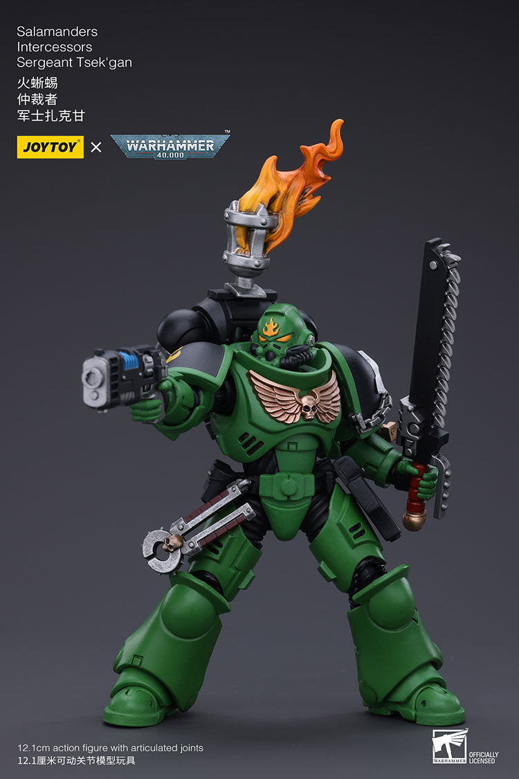 Salamanders Intercessors Sergeant Tsek'gan