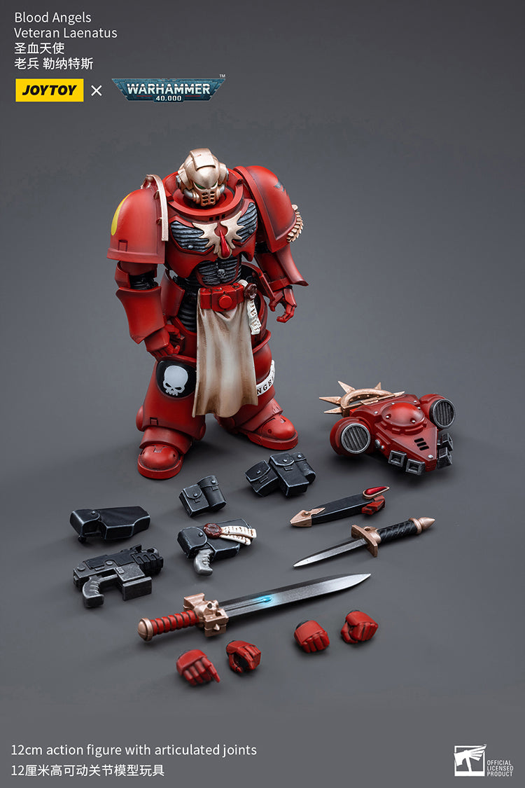 Blood Angels Veteran