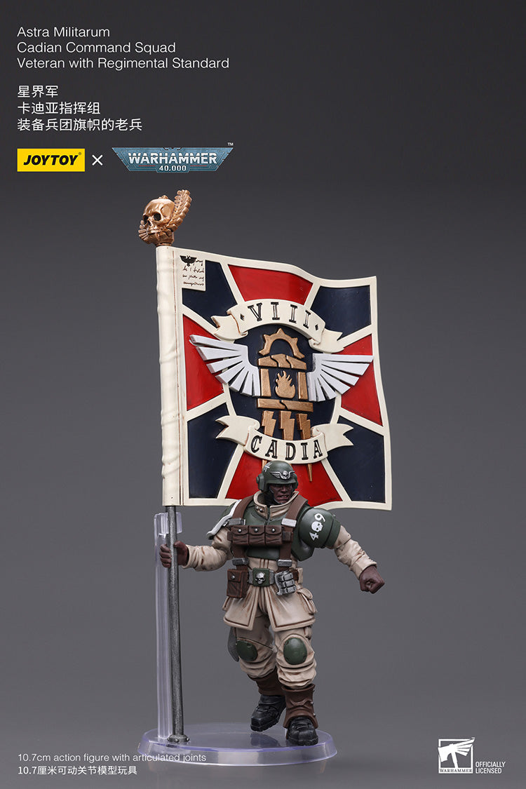 Astra Militarum Cadian Command Squad Veteran with Regimental Standard