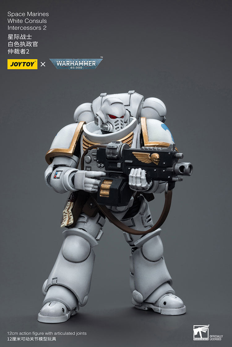 Space Marines White Consuls Intercessors 2