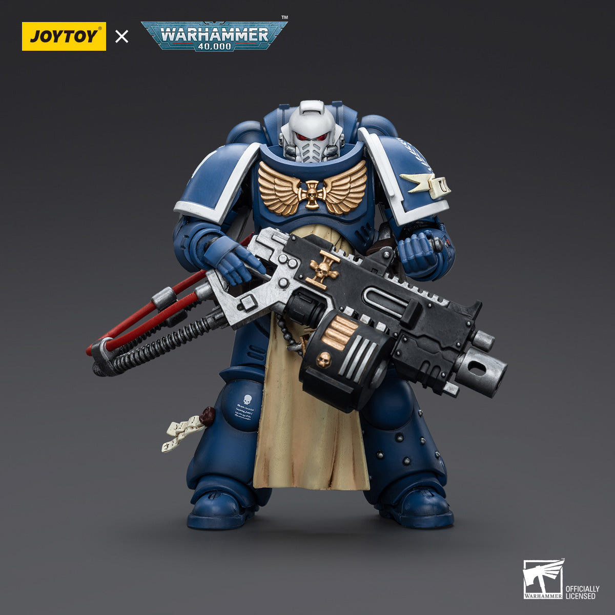 Ultramarines Sternguard Veteran