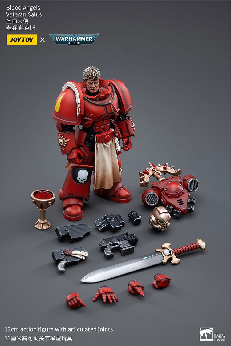 Blood Angels Veteran Salus