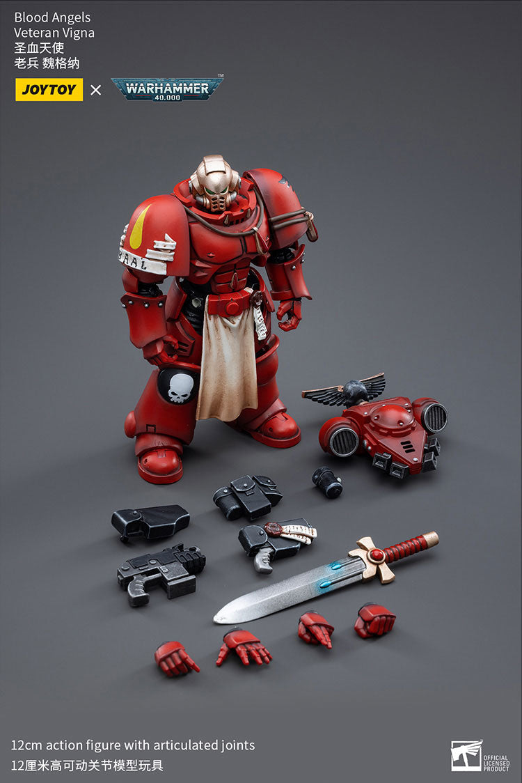 Blood Angels Veteran Vigna