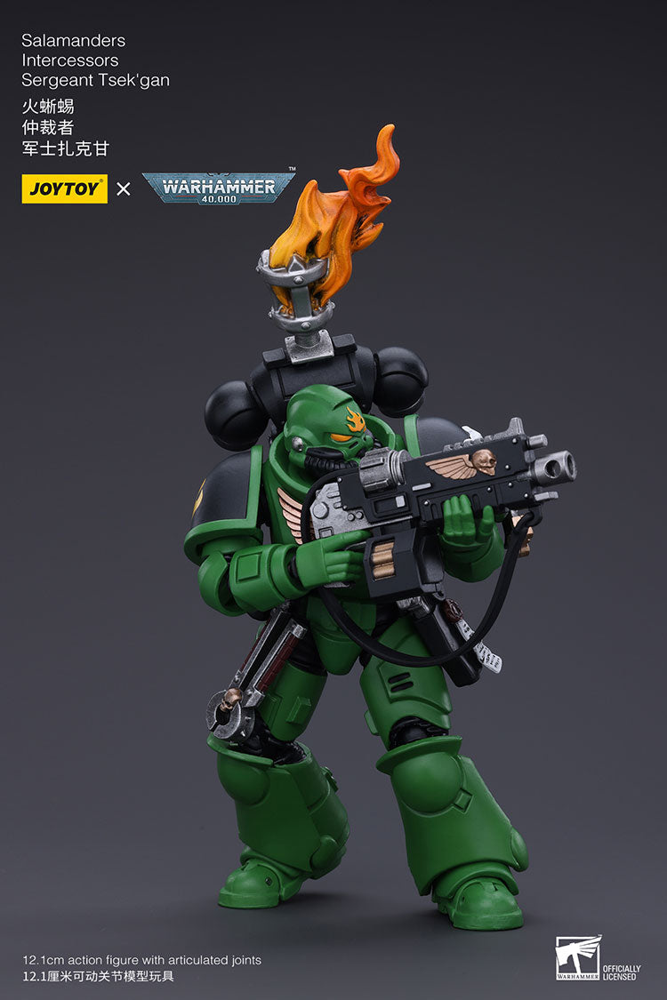 Salamanders Intercessors Sergeant Tsek'gan