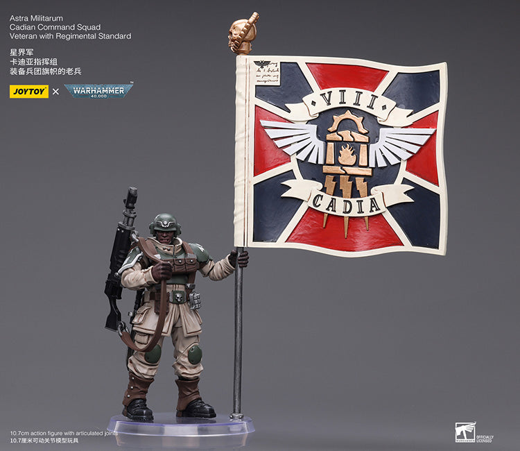 Astra Militarum Cadian Command Squad Veteran with Regimental Standard
