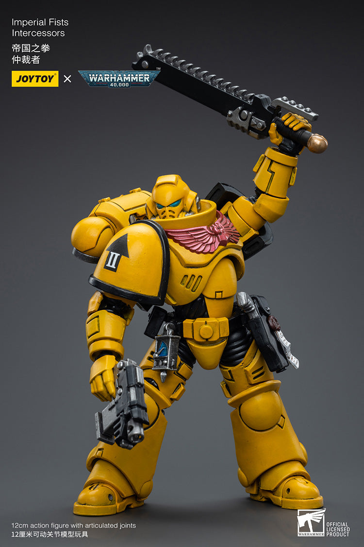 Imperial Fists Intercessors