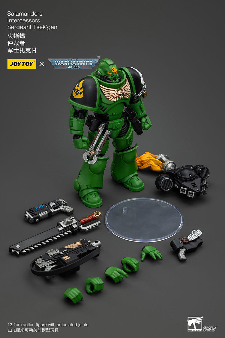 Salamanders Intercessors Sergeant Tsek'gan