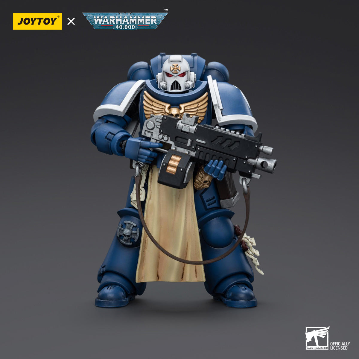 Ultramarines Sternguard Veteran