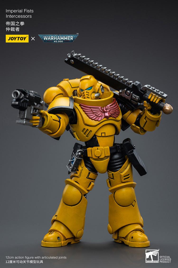 Imperial Fists Intercessors