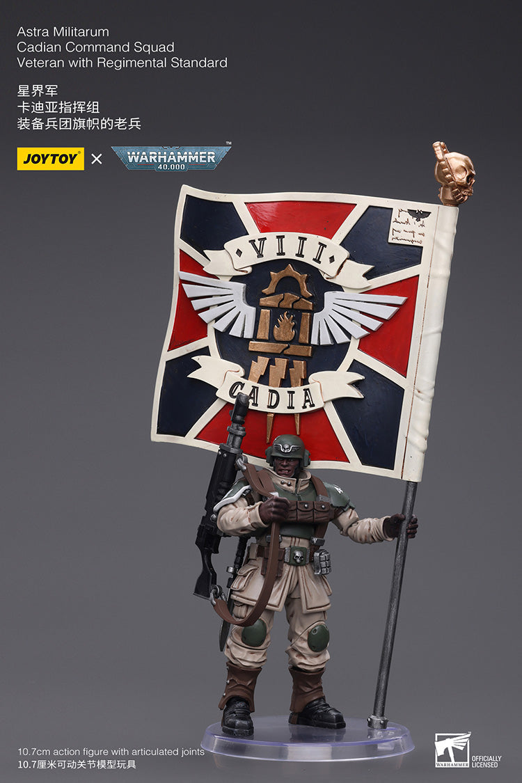 Astra Militarum Cadian Command Squad Veteran with Regimental Standard