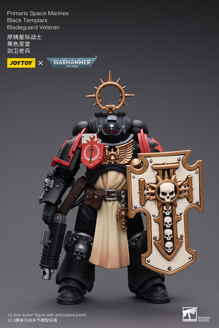 Primaris Space Marines Bladeguard Veteran