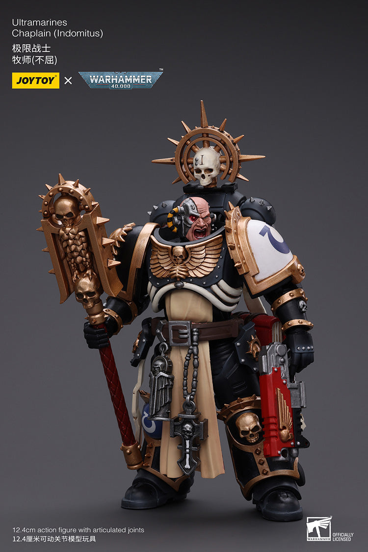Ultramarines Chaplain(Indomitus)
