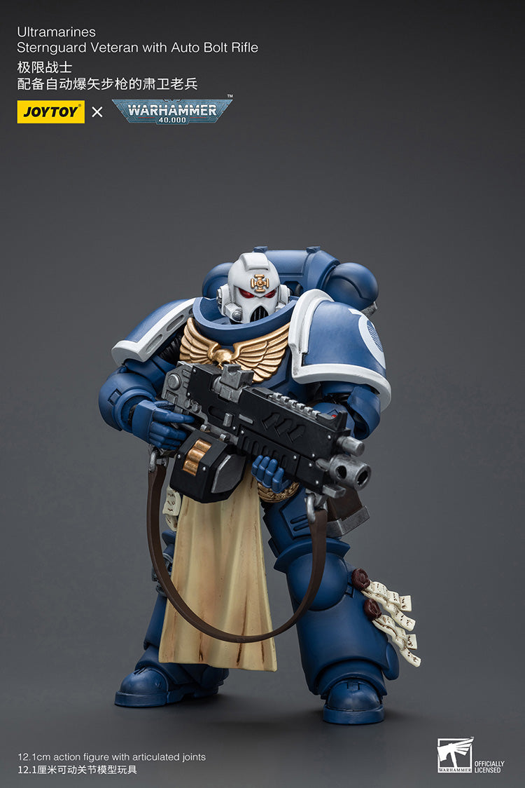 Ultramarines Sternguard Veteran