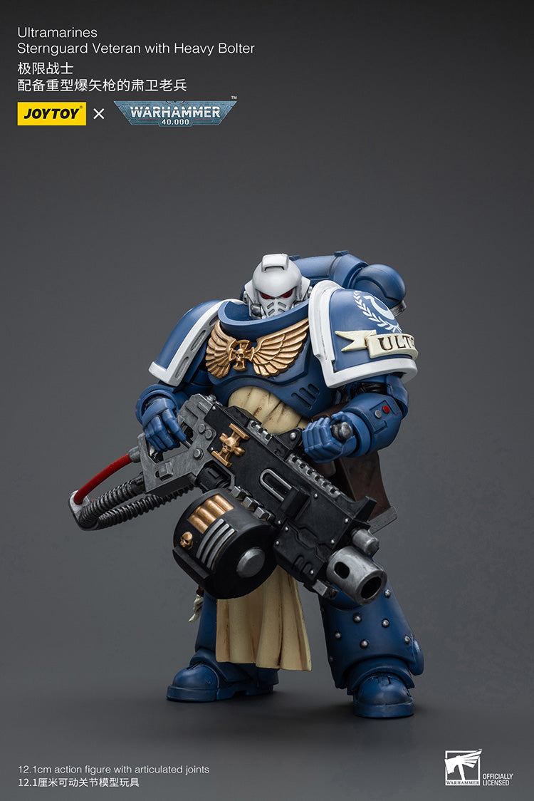 Ultramarines Sternguard Veteran