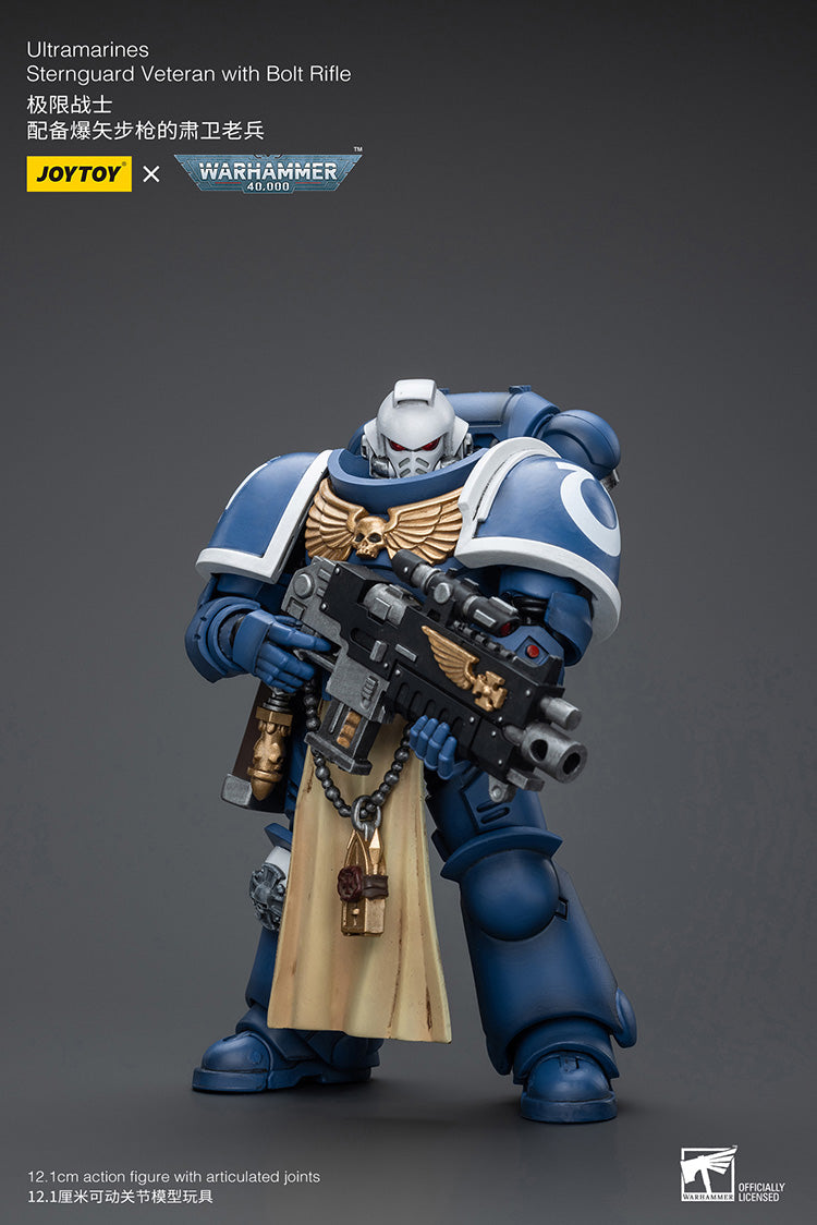 Ultramarines Sternguard Veteran