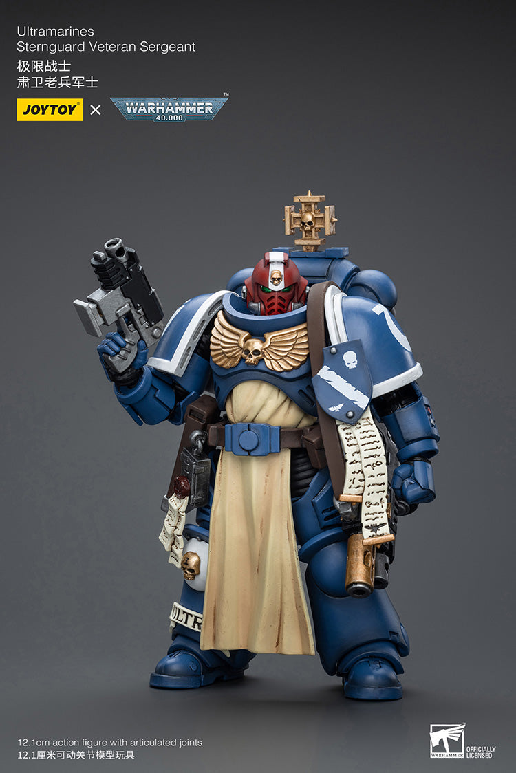 Ultramarines Sternguard Veteran