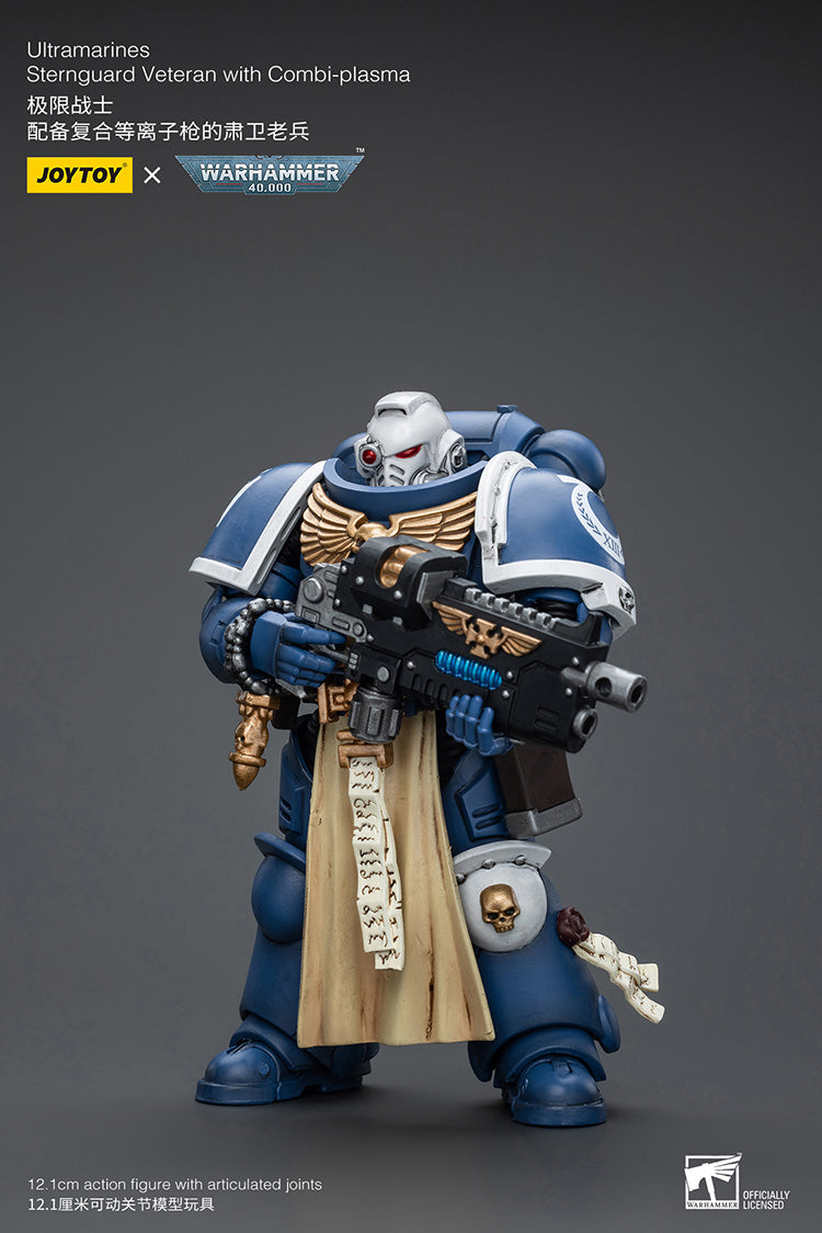 Ultramarines Sternguard Veteran