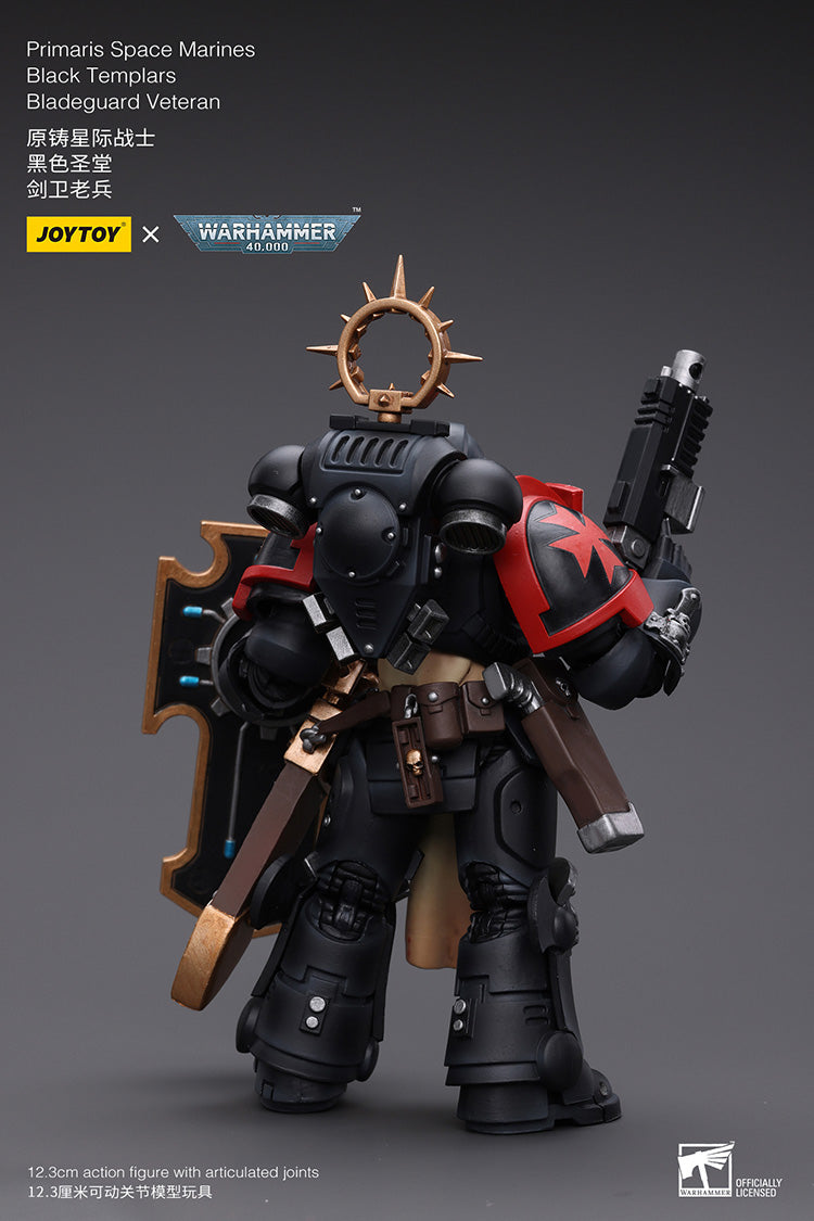 Primaris Space Marines Bladeguard Veteran