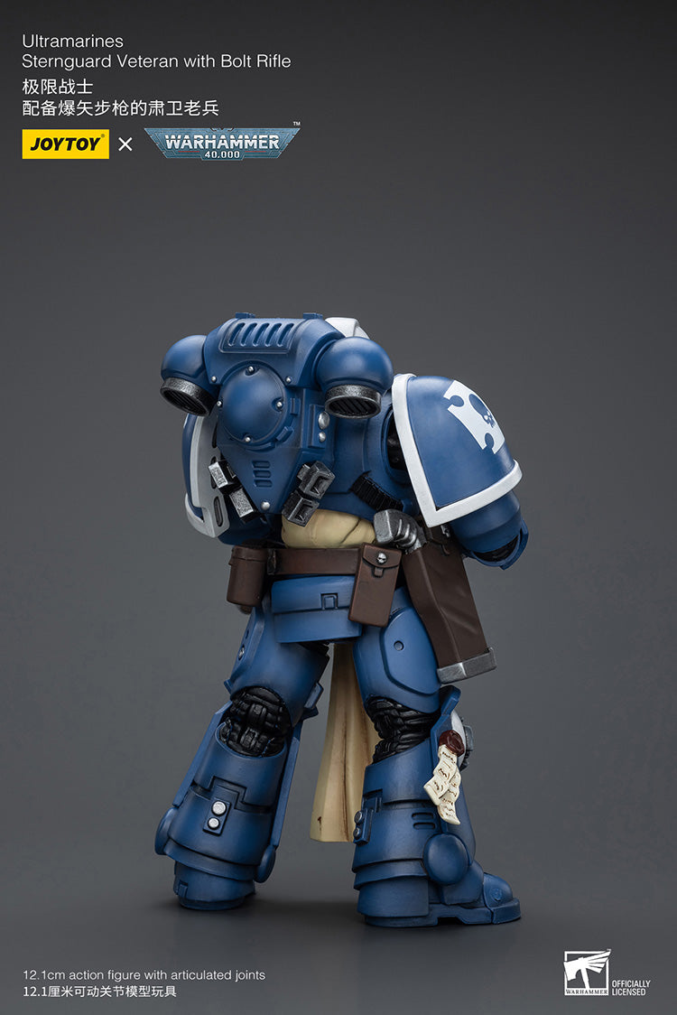 Ultramarines Sternguard Veteran