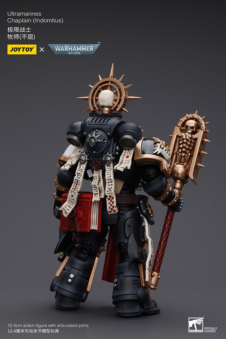 Ultramarines Chaplain(Indomitus)