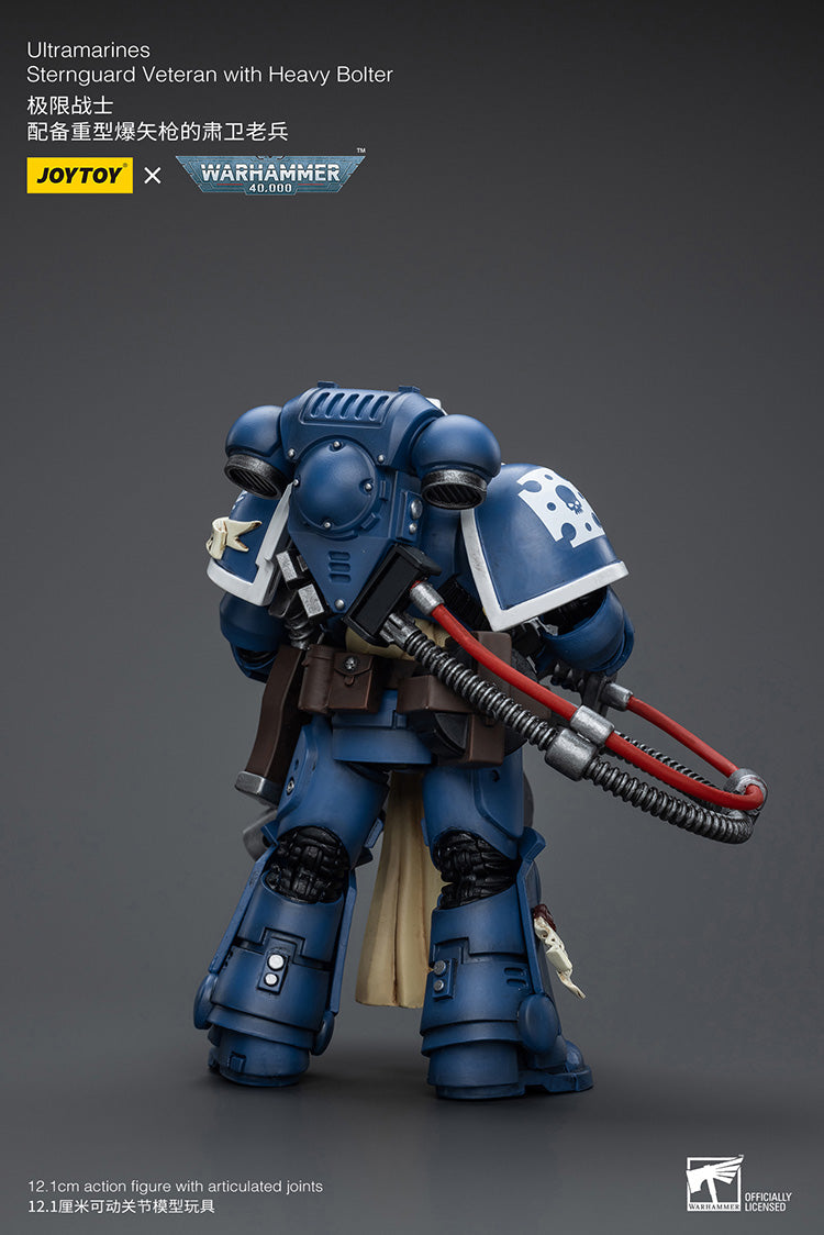 Ultramarines Sternguard Veteran