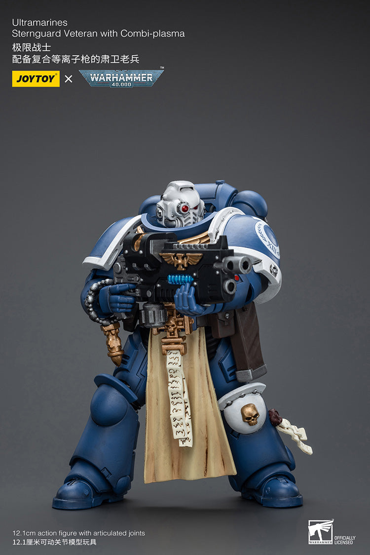 Ultramarines Sternguard Veteran