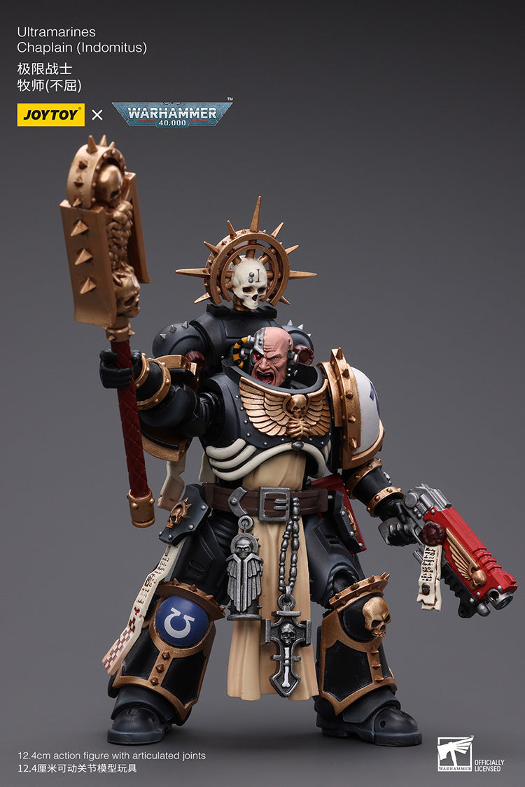 Ultramarines Chaplain(Indomitus)