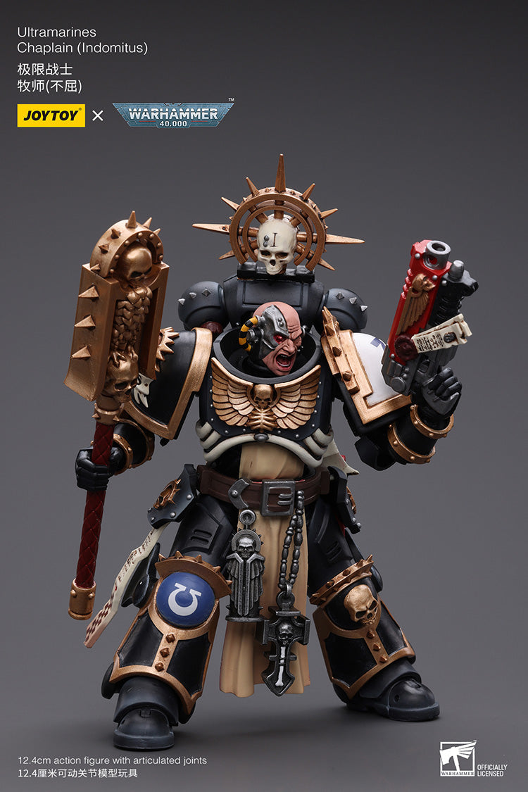 Ultramarines Chaplain(Indomitus)