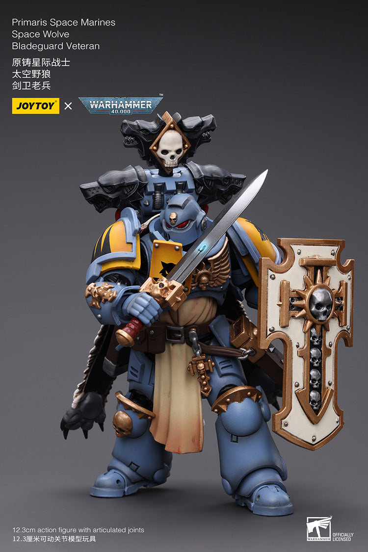 Primaris Space Marines Bladeguard Veteran