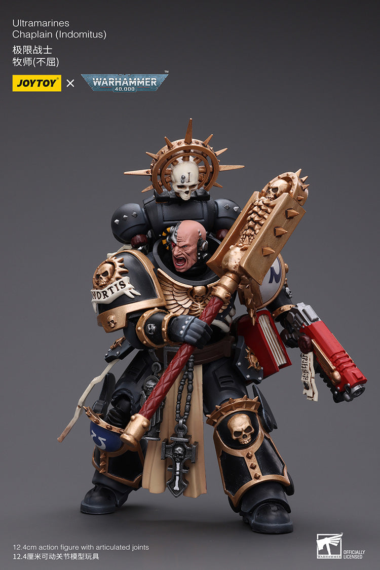 Ultramarines Chaplain(Indomitus)