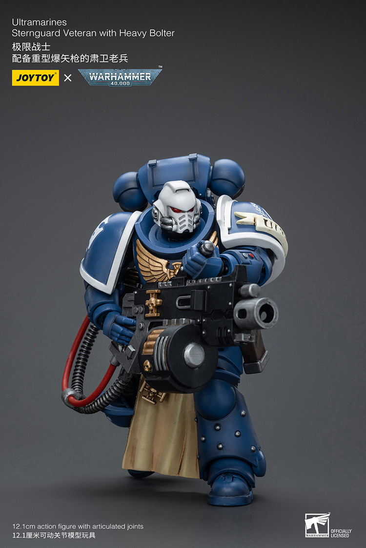 Ultramarines Sternguard Veteran