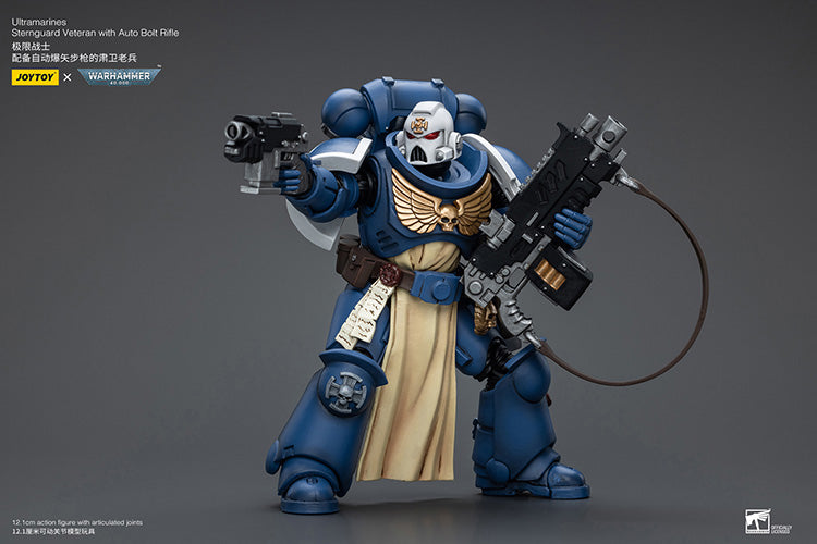 Ultramarines Sternguard Veteran